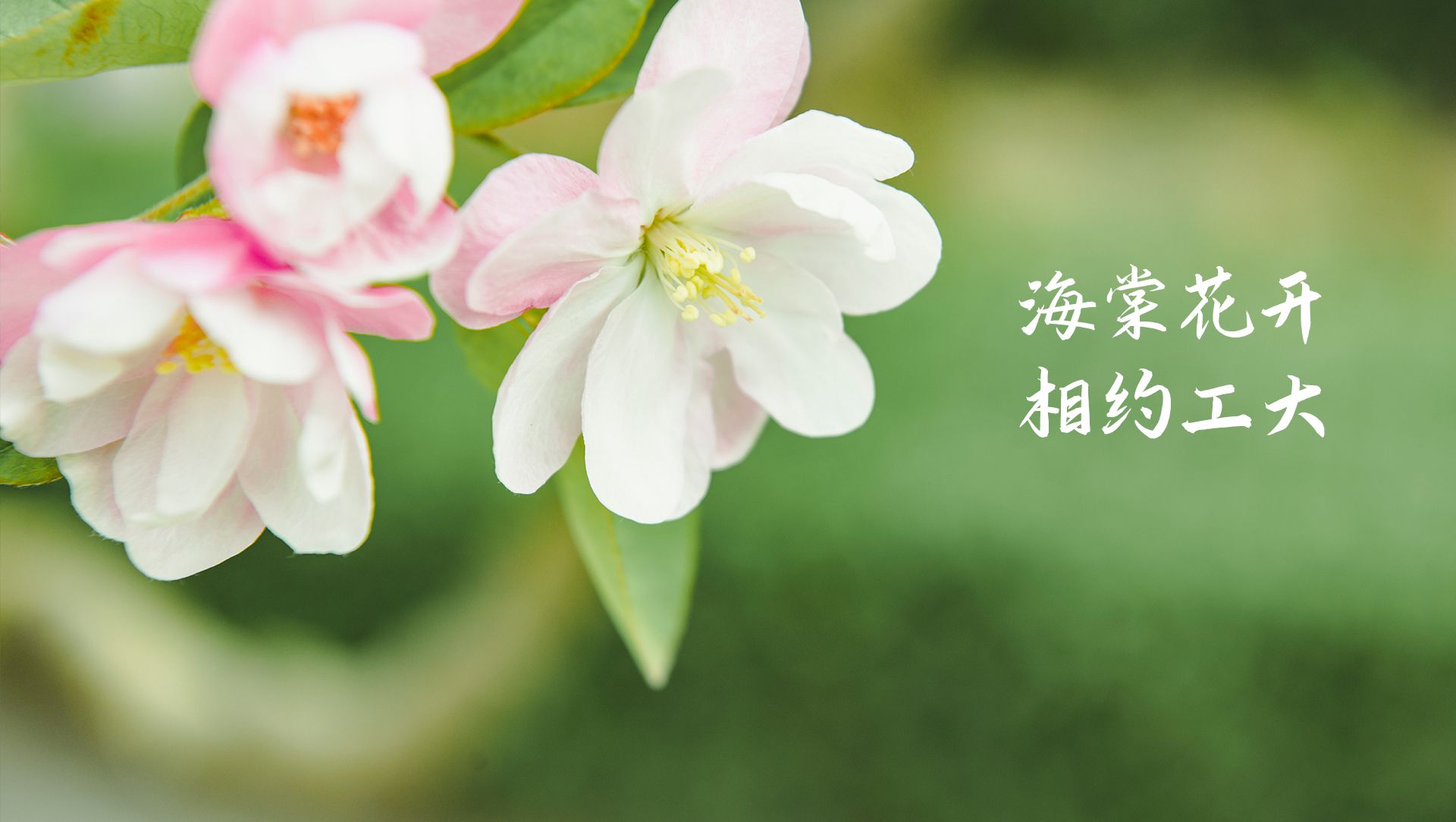 国产麻豆放荡AV剧情演绎