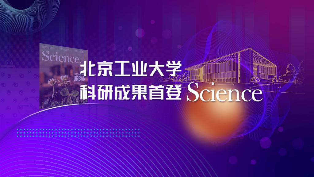 国产麻豆放荡AV剧情演绎
