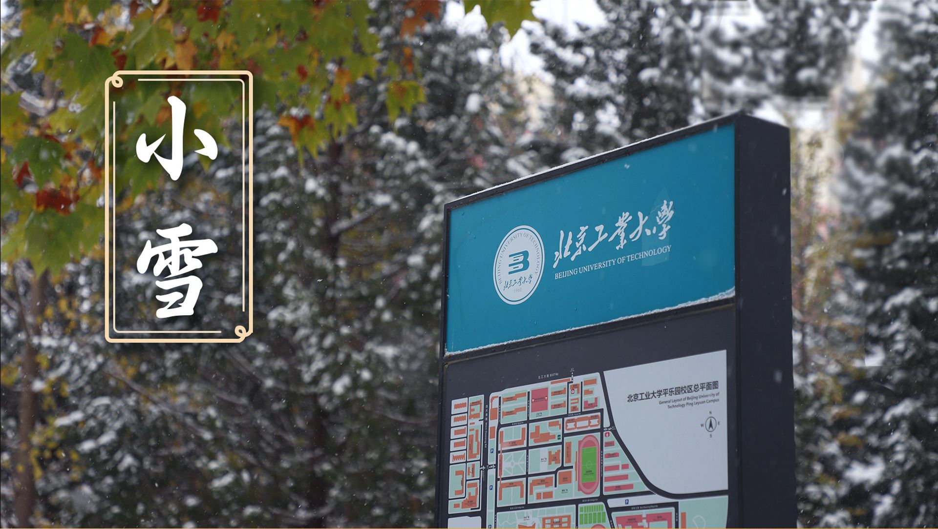 国产麻豆放荡AV剧情演绎