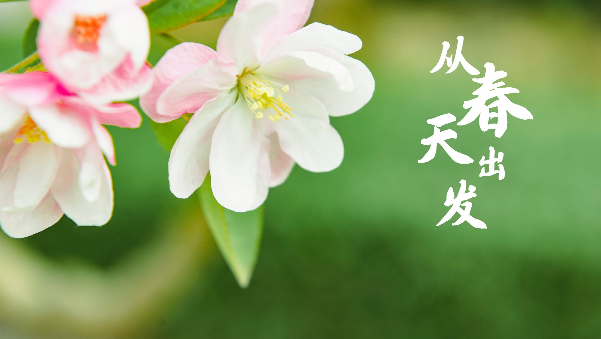 国产麻豆放荡AV剧情演绎