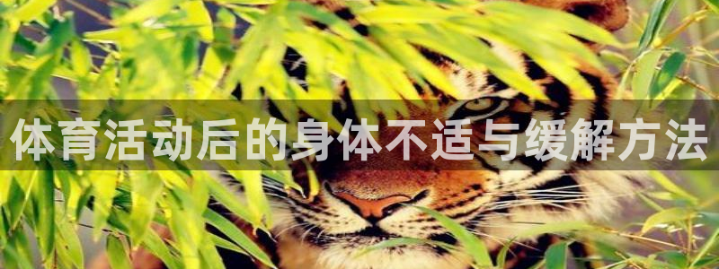 佛山市南海蓝狮在线机电仪器有限公司：体育活动后的身体不适与缓解方法