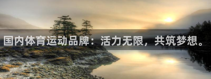 意昂4官网：国内体育运动品牌：活力无限，共筑梦想。