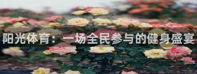 意昂凯捷注册：阳光体育：一场全民参与的健身盛宴