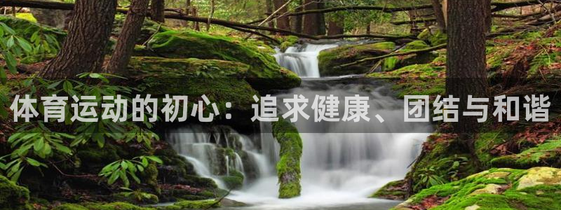 意昂3平台注册：体育运动的初心：追求健康、团结与和谐