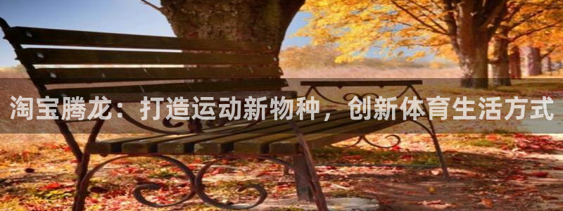 蓝狮在线凯捷平台：淘宝腾龙：打造运动新物种，创新体育生活方式