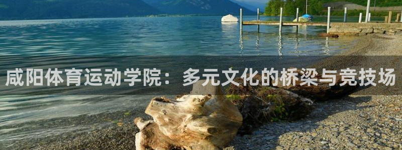 意昂体育3：咸阳体育运动学院：多元文化的桥梁与竞技场