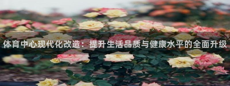 成都意昂电子有限公司：体育中心现代化改造：提升生活品质与健康水平的全面升级