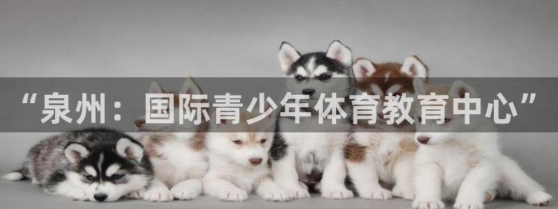 蓝狮在线：“泉州：国际青少年体育教育中心”