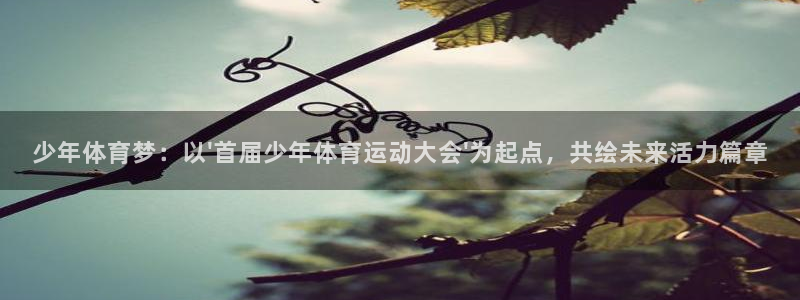 意昂3：少年体育梦：以\'首届少年体育运动大会\'为起点，共绘未来活力篇章
