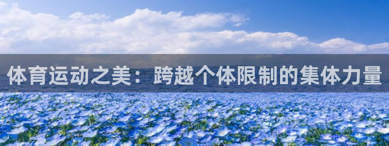 蓝狮在线包怎么样