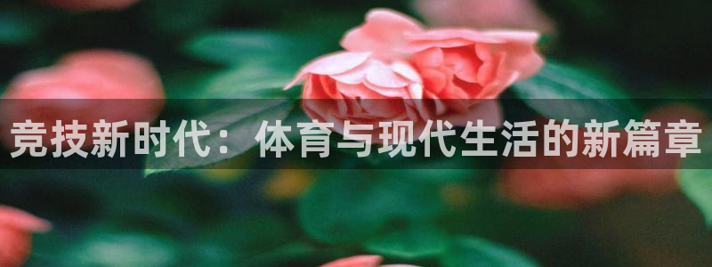 蓝狮在线包怎么样：竞技新时代：体育与现代生活的新篇章