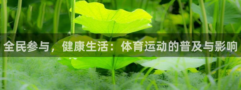 佛山市南海意昂机电仪器有限公司：全民参与，健康生活：体育运动的普及与影响