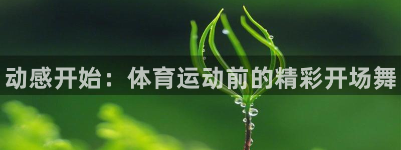 意昂官网：动感开始：体育运动前的精彩开场舞