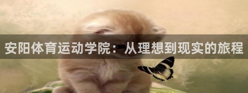 意昂注册：安阳体育运动学院：从理想到现实的旅程