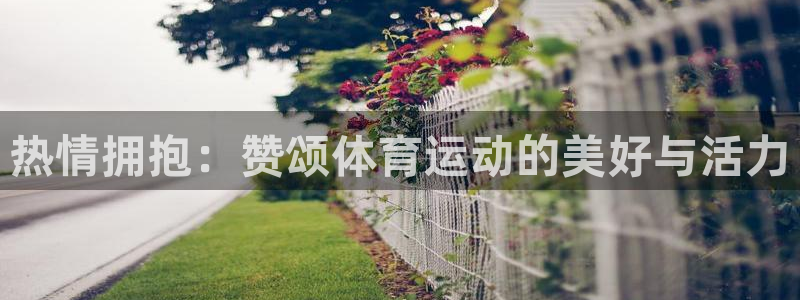 蓝狮在线4官网：热情拥抱：赞颂体育运动的美好与活力