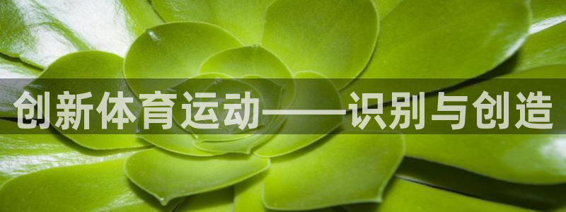 意昂包怎么样：创新体育运动——识别与创造