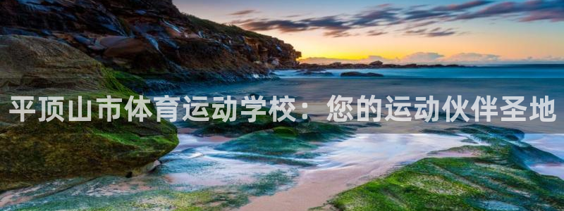 蓝狮在线4注册：平顶山市体育运动学校：您的运动伙伴圣地
