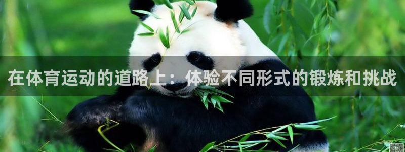 蓝狮在线代理：在体育运动的道路上：体验不同形式的锻炼和挑战