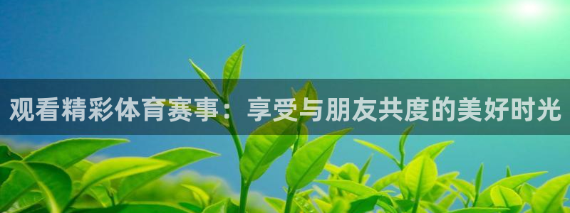 蓝狮在线平台开户链接：观看精彩体育赛事：享受与朋友共度的美好时光