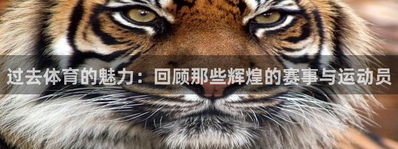 蓝狮在线4开户：过去体育的魅力：回顾那些辉煌的赛事与运动员