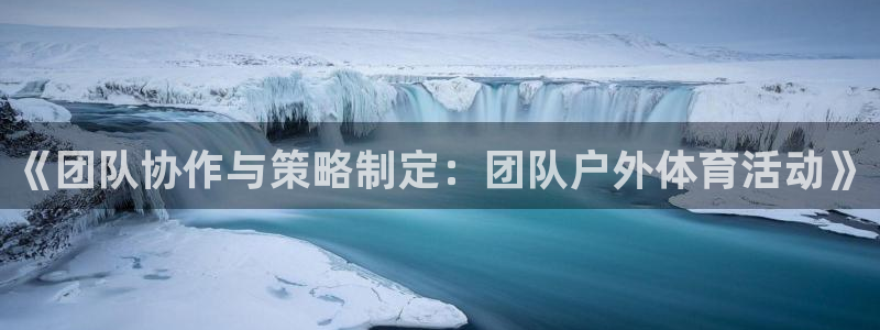 蓝狮在线体育1招商：《团队协作与策略制定：团队户外体育活动》