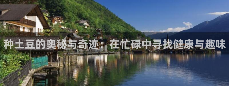 蓝狮在线2体育：种土豆的奥秘与奇迹：在忙碌中寻找健康与趣味