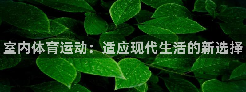 蓝狮在线2平台：室内体育运动：适应现代生活的新选择