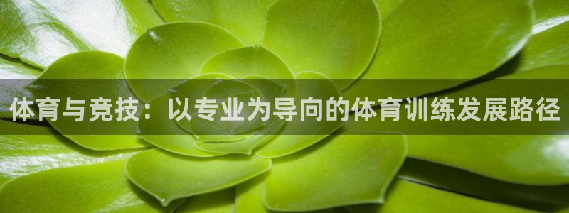 意昂体育3：体育与竞技：以专业为导向的体育训练发展路径