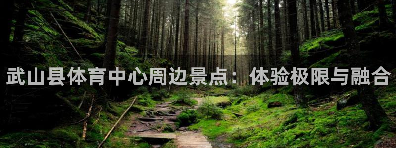 蓝狮在线2体育：武山县体育中心周边景点：体验极限与融合